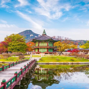 Multi-Region TT  (South Korea, Singapore, Malaysia, Thailand, Philippines, Indonesia, China, Hong Kong, Macau, Taiwan, Australia, New Zealand, Cambodia)